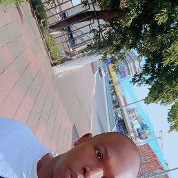 , 29, 