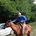 ���� Tariel, ����, 70 ��� - ��������� 24 ������ 2026 � ������ ���� ����������