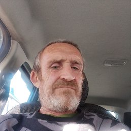 , 61, 