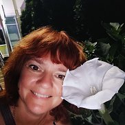 , 47 , 