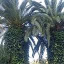 ���� �����, ���������, 41 ��� - ��������� 9 ������� 2025 � ������ ���� ����������