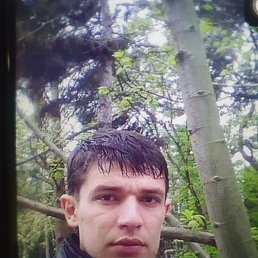 , 37, 