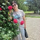 ���� ����, ���������, 72 ���� - ��������� 16 ���� 2026 � ������ ���� ����������