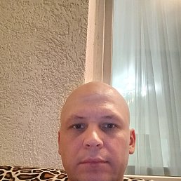 , 39,  