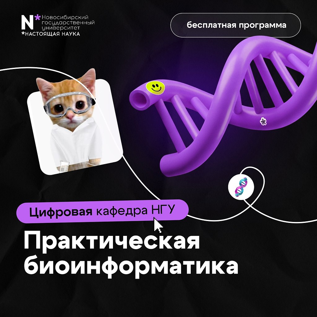 Получи дополнительную IT-профессию бесплатно! Новосибирский госуниверситет приглашает студентов на ... - 4