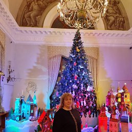 ������, 44 ����, ������