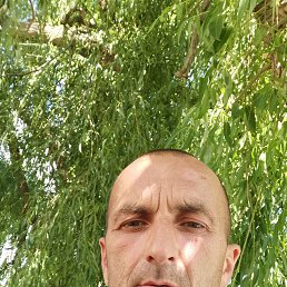 , 42 , 