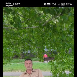 , 51, 