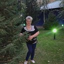 ���� �����, ������ - ��������� 23 ���� 2026 � ������ ���� ����������