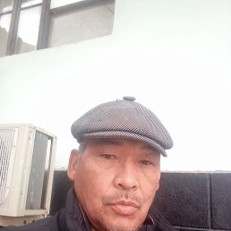 , 55, 