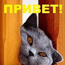 ���� Soledad, ����� - ��������� 19 ������� 2024 � ������ ���� ����������