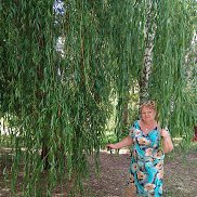 ������, 67 ���, ������