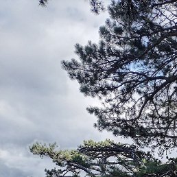 ���������, �����-���������, 53 ����