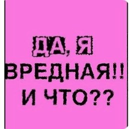 ���� *������*, ������ - ��������� 31 ����� 2026