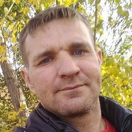 �����, ���������� �����, 40 ���