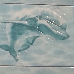 �������, ��������, 51 ���