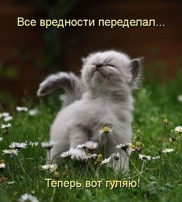 ? ,  ! - 8  2025  22:33