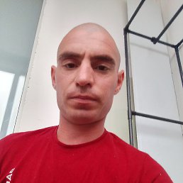, 32, 