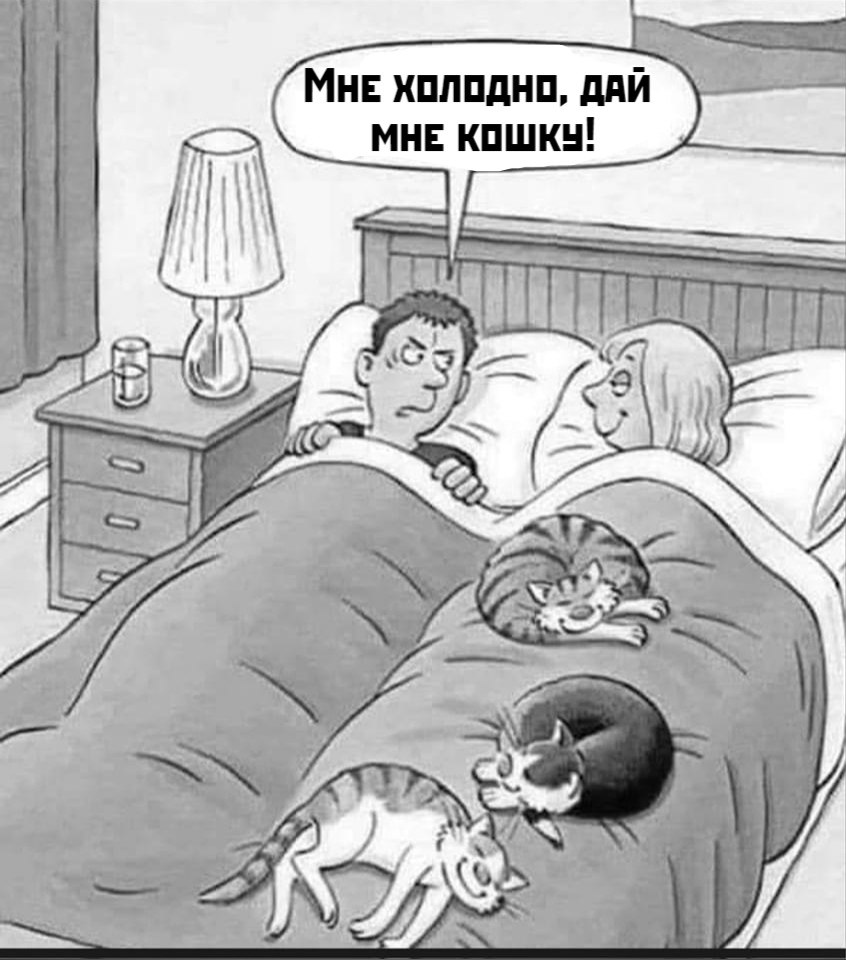 ��� ���� � ����� �� �� - 1 ����� 2026 � 00:00