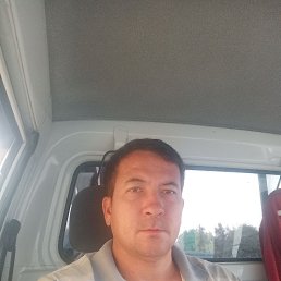 , 37, 