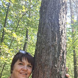 , 50, 
