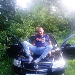 ������, ��������, 51 ���