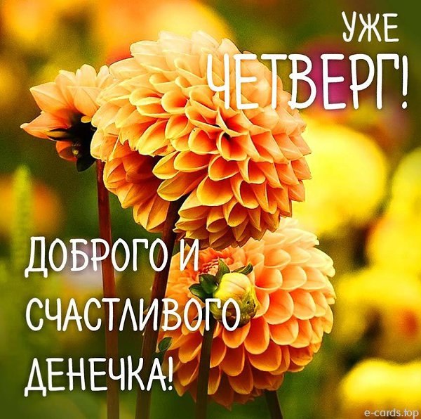   - 31  2025  14:43