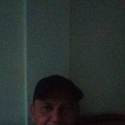 Toto, 35, 