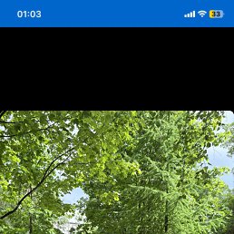 ���� ����������, ���������, 20 ��� - ��������� 18 ������� 2026