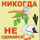 ���� ��������, �������� - ��������� 4 ������ 2026 � ������ ������ ��������