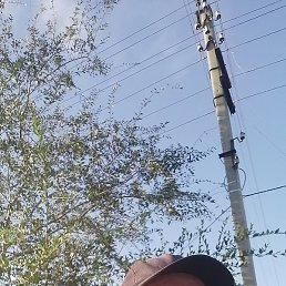 ������, ���������, 42 ����