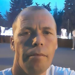 ������, ����, 46 ���