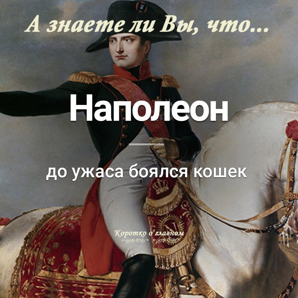 � ������ �� ��, ���...