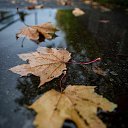 ���� ����, ������, 27 ��� - ��������� 5 ����� 2024