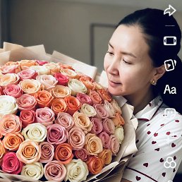 ������, ������, 41 ���