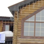 ������, 41 ���, ������