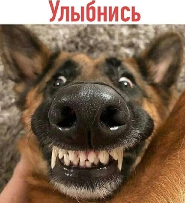  - 23  2024  22:22