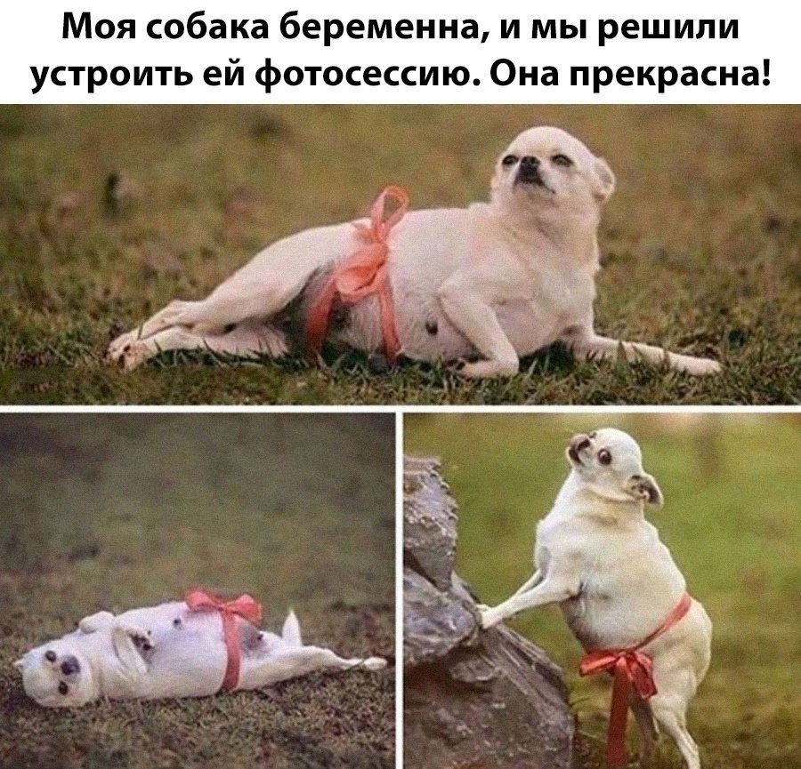  - 1  2025  13:44
