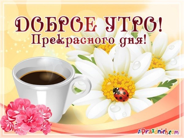  - 12  2025  07:51