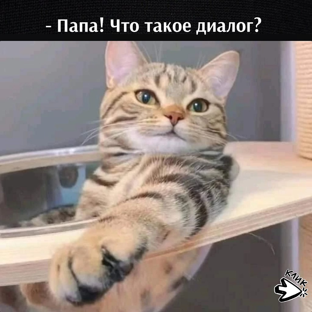 ��� ���� � ����� �� �� - 25 ������� 2026 � 16:00