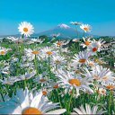 ���� ����, ���������� - ��������� 10 ��� 2025