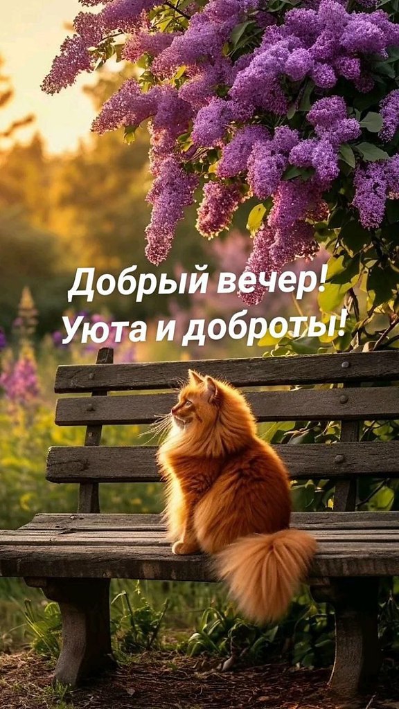   ,    . - 13  2025  19:51 - 4