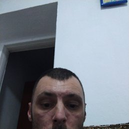 , 33, 