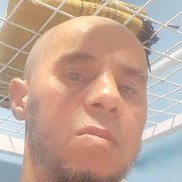 �����, 49 ���, ��������