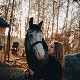 ���� ������, �����, 31 ��� - ��������� 7 ������ 2026