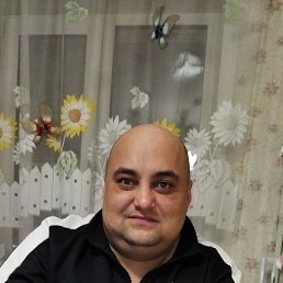 �����, 38 ���, �����