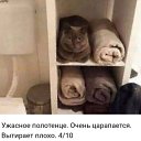 ���� ����, ��������� - ��������� 5 ���� 2026 � ������ ������ ��������
