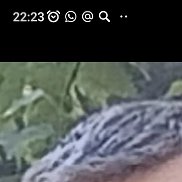 , 44 ,  