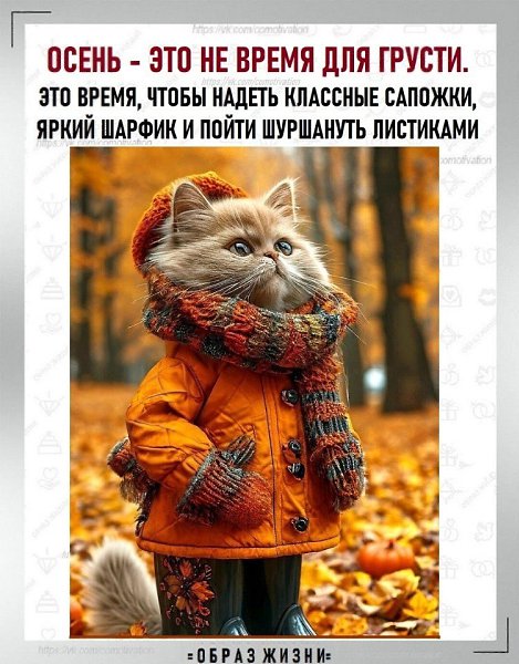������� ��!