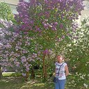 ���� �������, �����-���������, 50 ��� - ��������� 15 ������� 2024